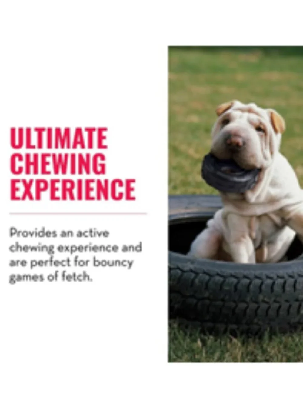 NWT ~ KONG Extreme Tire Dog Toy, Sze: Small (3.5